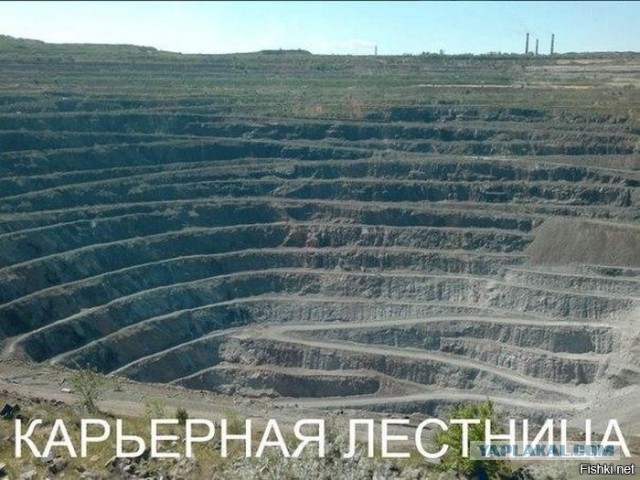 Прикольные и веселые картинки