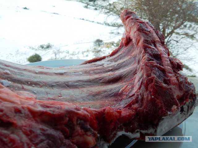 Кулинария. Вопросы и ответы, ...