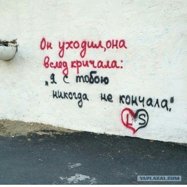 Подборка перлов и высказываний