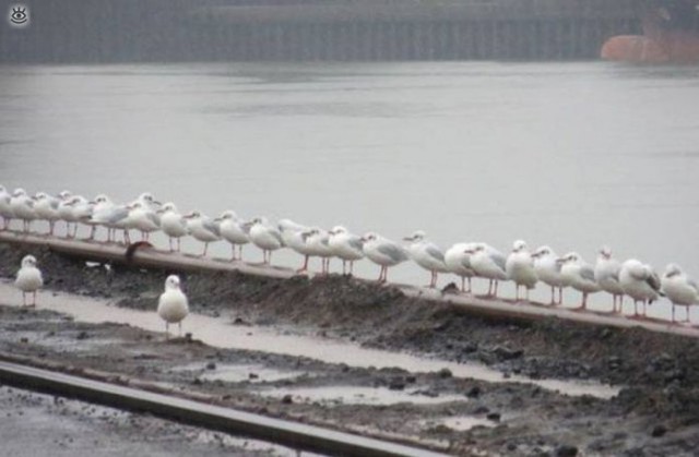 Подборка интересных и веселых картинок