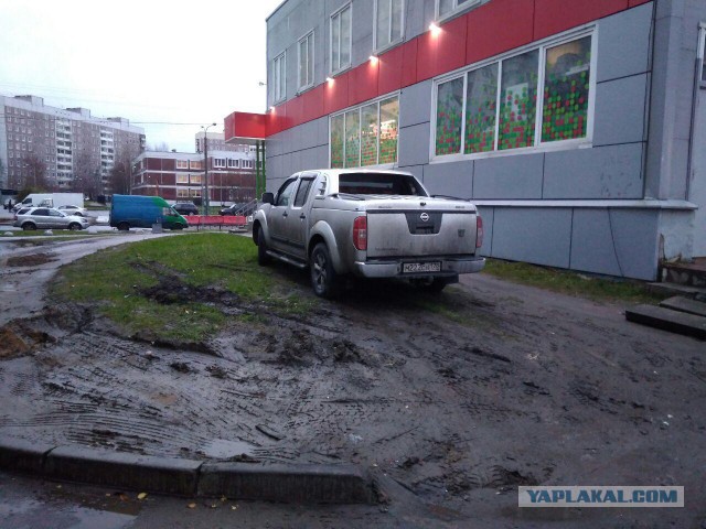 Как я стал крысой