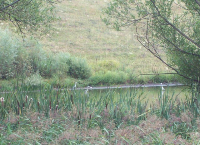 Просто Природа