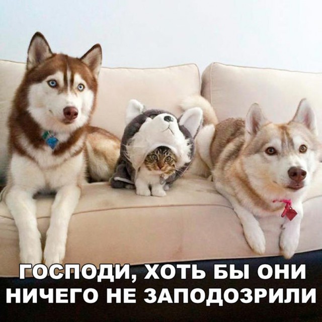 Четверг, это маленькая пятница! Картинки с подписями.