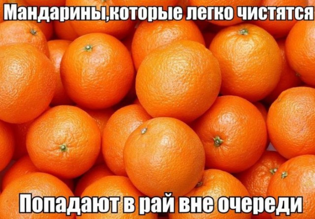 Тятя! Тятя! Наши сети принесли неадекват!