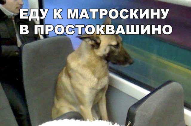 От работы тяжёлой не ной, пост с картинками для отдыха открой!