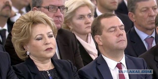 Что происходит с организмом медведя во время спячки?