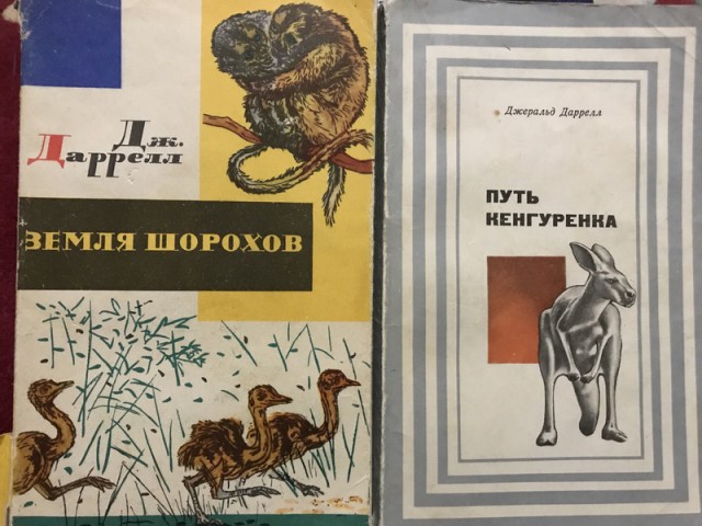 Что читали в детстве?