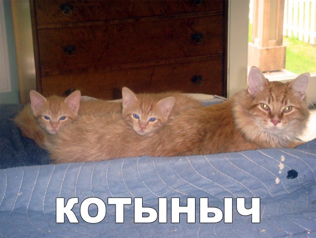 Немного милоты