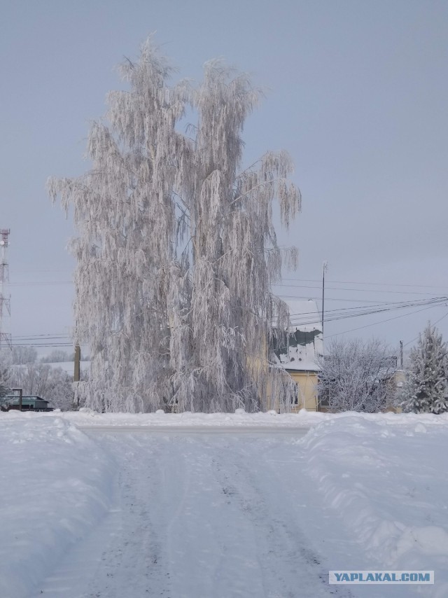 Новогодняя погода. У кого как, у нас вот