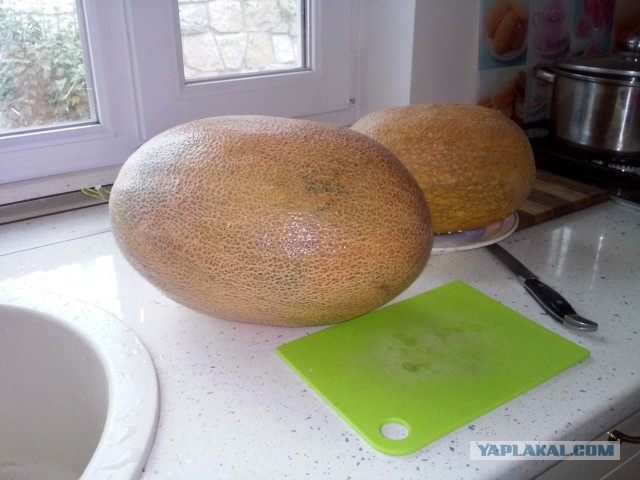 Хрен - на здоровье!