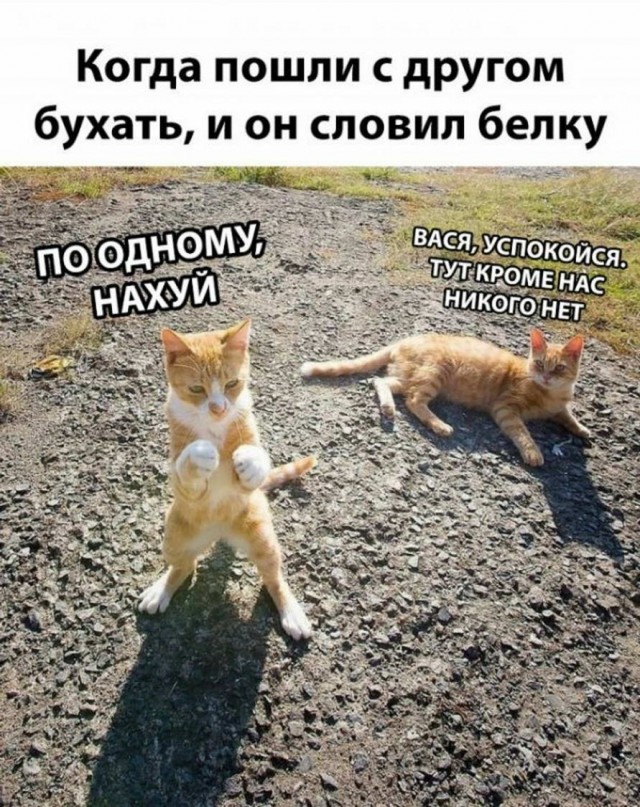 Аморалка