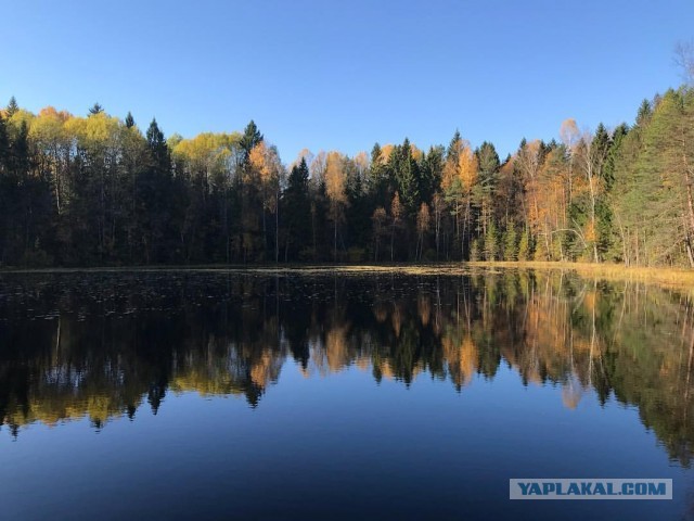 Сам себе фотограф