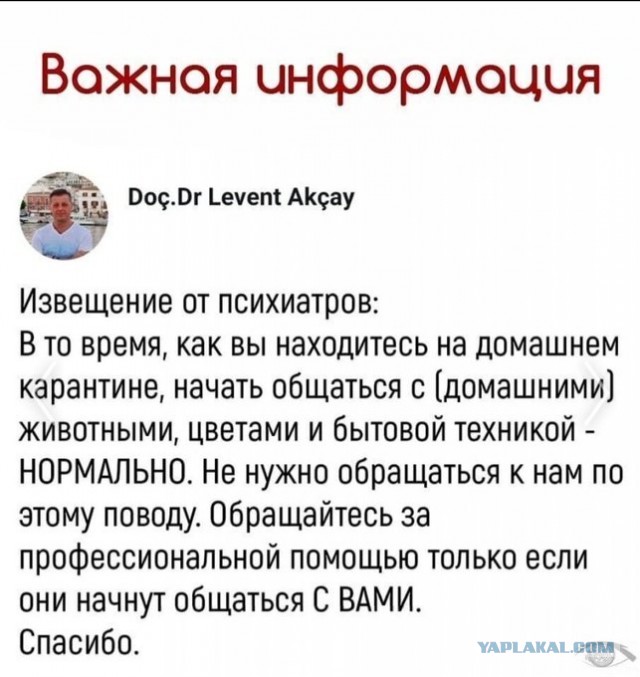 Бредзона 07.04.2020