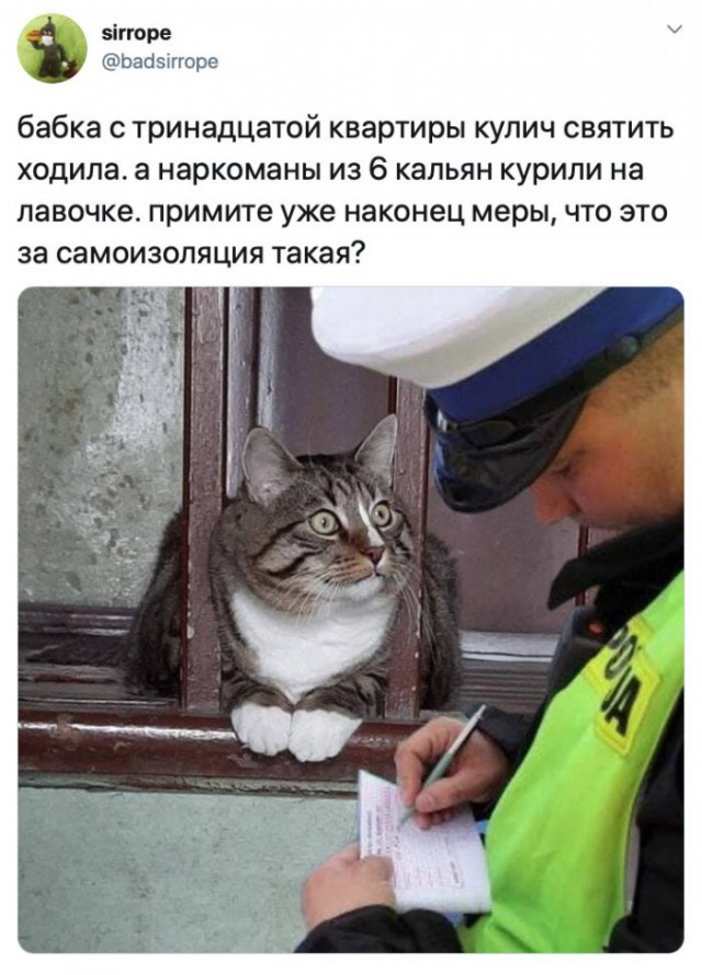Немного картинок для настроения 24.04.20