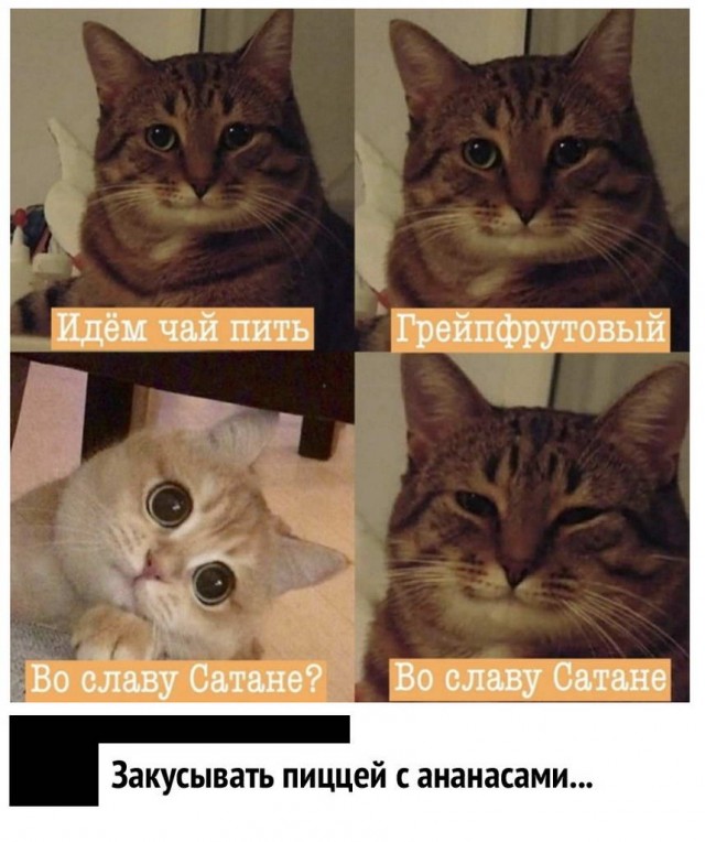 Немного картинок для настроения 22.05.20