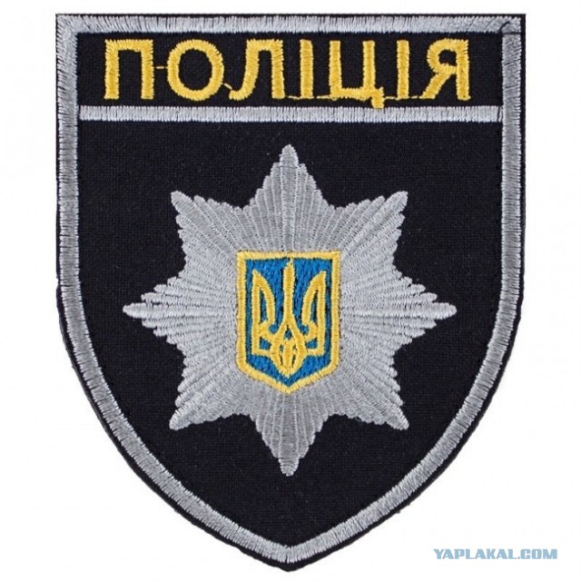 Переезд кустов конопли