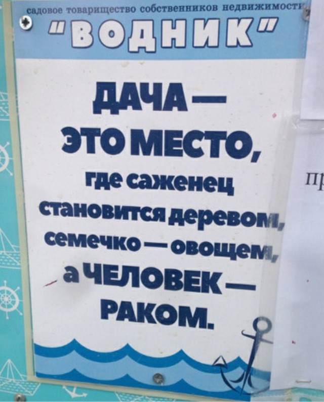 Чуток картинок 20.07.20