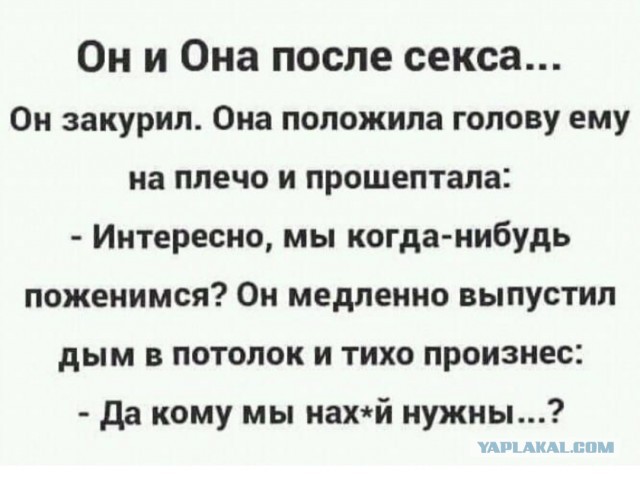 Картинки с надписями фразы и анекдоты