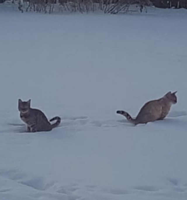 Моя красотка