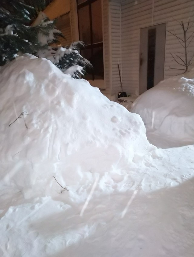 Неухоженные женщины