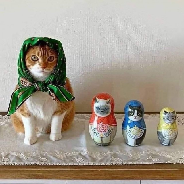 Подборка всякой живности