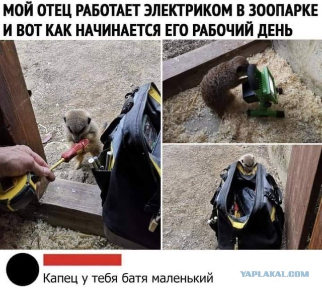 Вот вам новая порция аморального юмора 18+