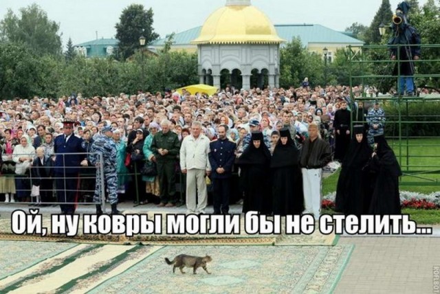 Картинки и мемы для настроения