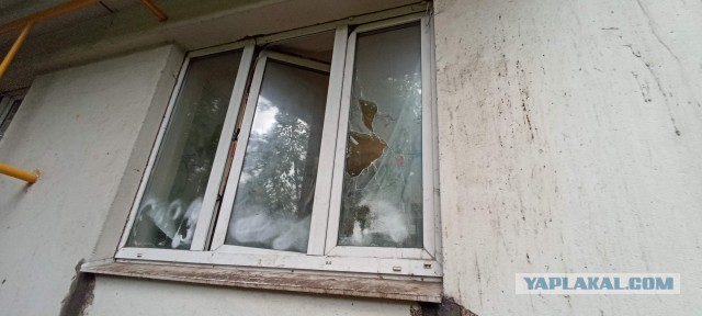В Измайловском парке неизвестные начали издеваться над женщиной и распылили ей в лицо перцовый баллончик