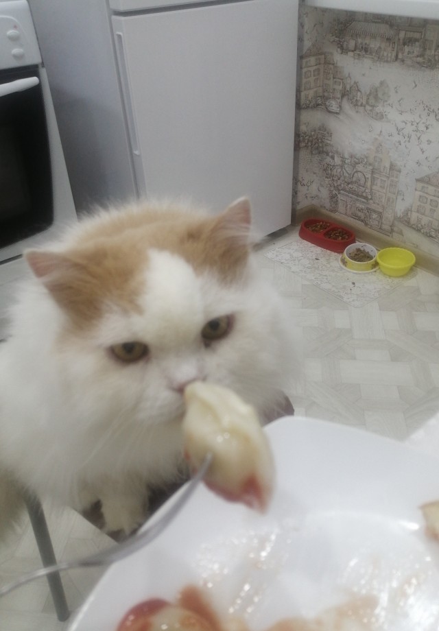 Пополнение