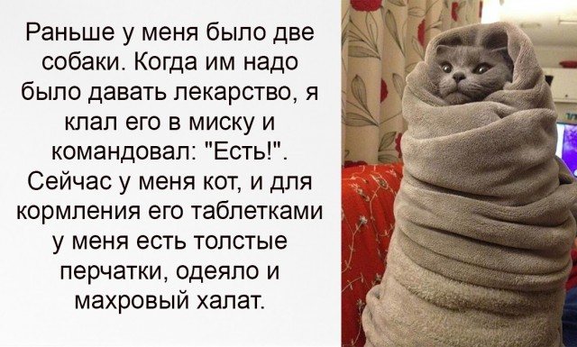 Картинки и мемы для настроения 27.09.2021