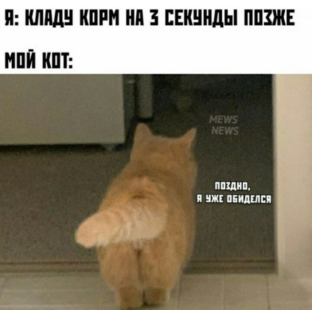 Так себе картинки 08.10.21
