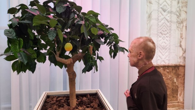 Маленький Герой