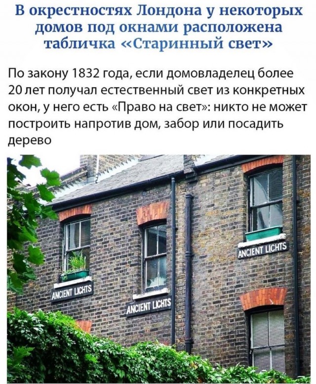 Картинки 07.11.21