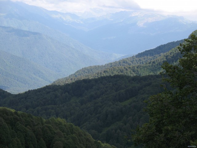 Абхазия. 17 лет после войны