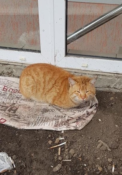 Краснодарцы, не проходите мимо!