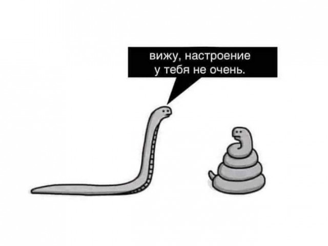 40 картинок разных 14.03.2022