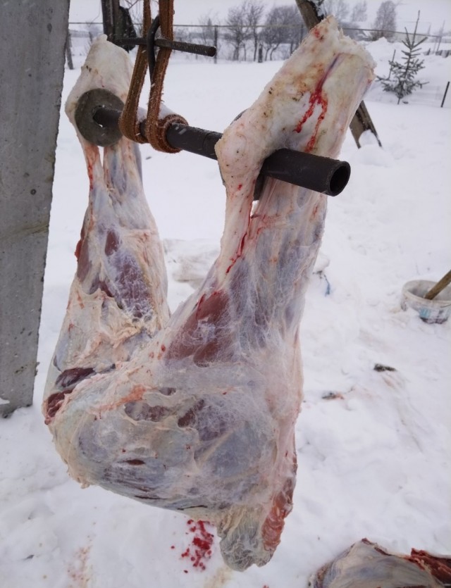 А не бухнуть ли во вторник?