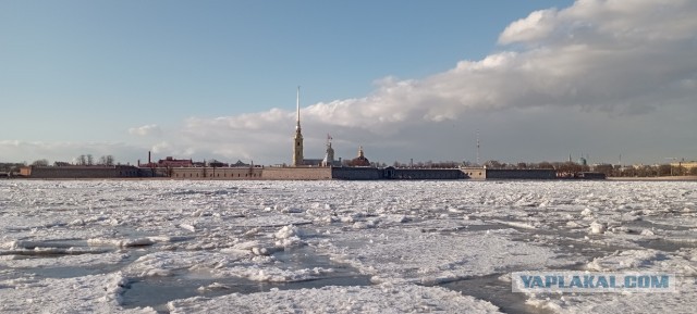 Фотки с телефона.