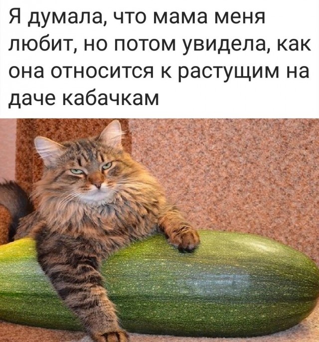 Так себе картинки 05.06.22