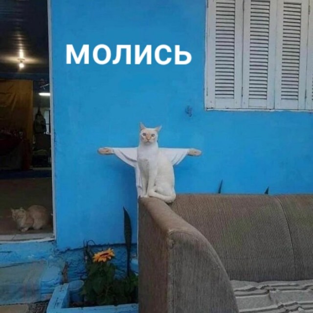 20 баянов про всякое