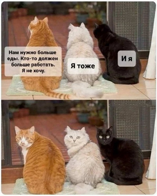 Картинки и мемы, всем хороших выходных