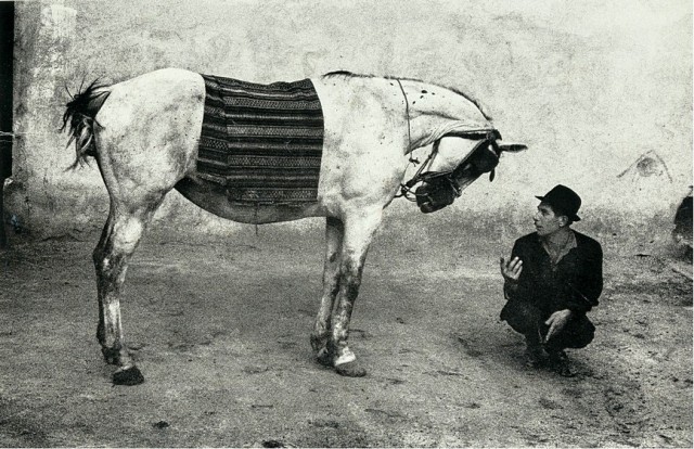 ФотоАссорти или разные разности