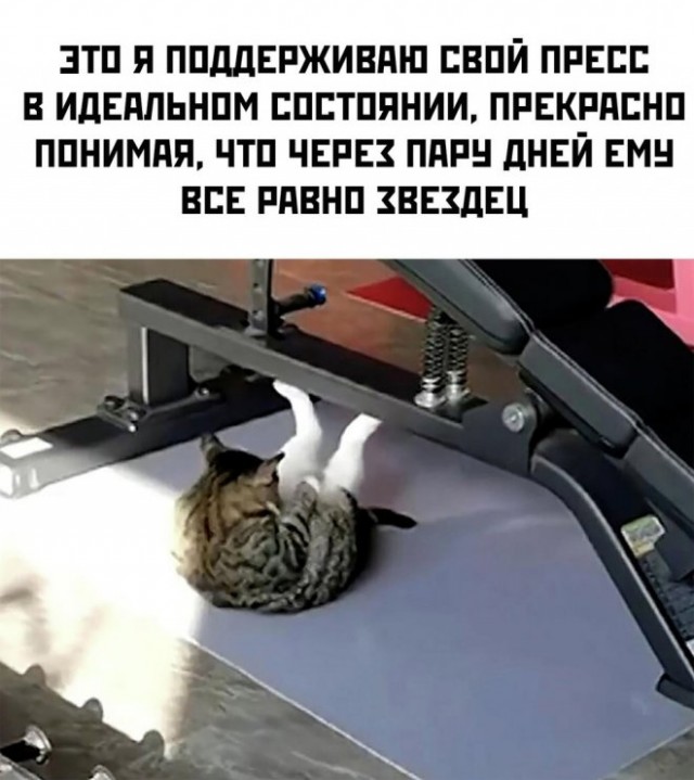 Так себе картинки 31.12.22