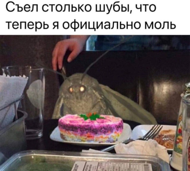 Весёлый полтишок 09.01.23