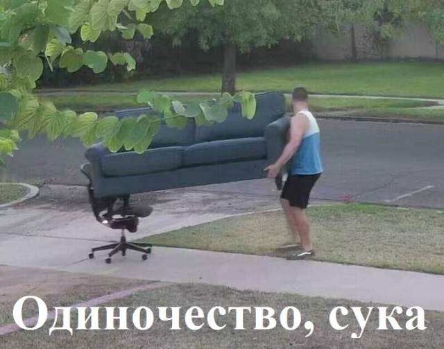 Немного картинок для настроения/постпраздничное
