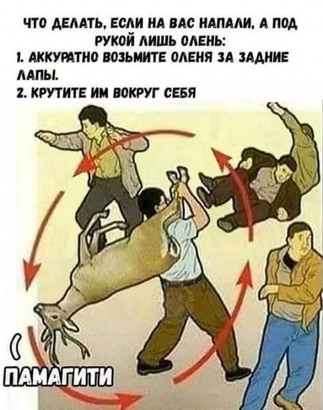Так себе картинки 26.01.23