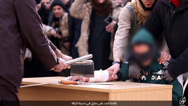 Крыса