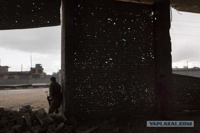 Есть ли жизнь в Алеппо?