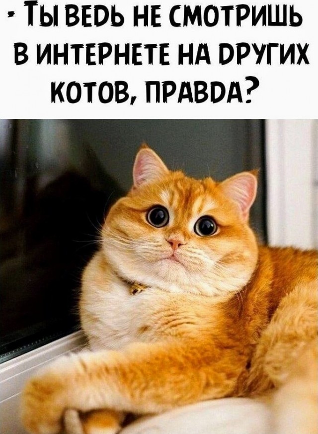 Картинки и мемы, всем хороших выходных