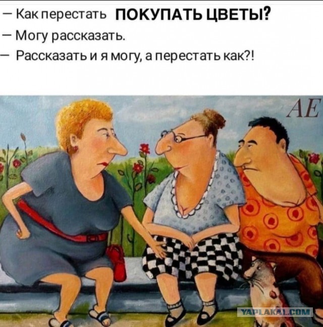 Забавные комментарии из социальных сетей (10.04.23)